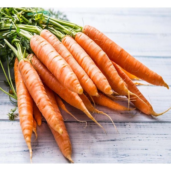 Carrot (nante) seeds