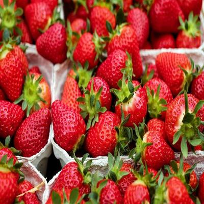 Strawberry Seeds