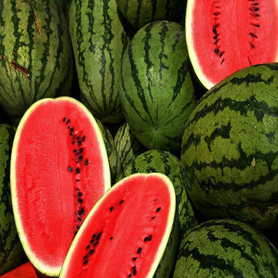 Water melon Seeds