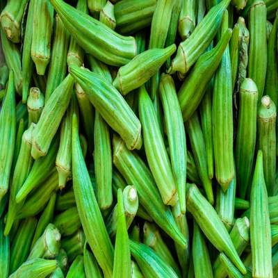 Lady Finger Seeds (Okra)