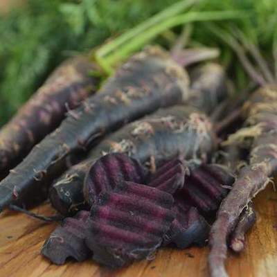 Carrot black wonder seeds