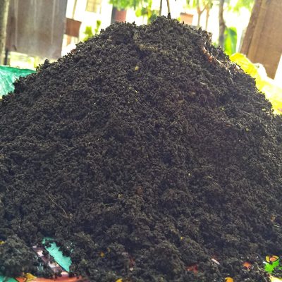 Vermicompost - 1 kg